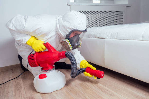 Real Estate Pest Inspections in Schnecksville, PA